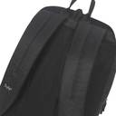 SKYBAGS  Medium 21 L Laptop Backpack Pod  (Black)